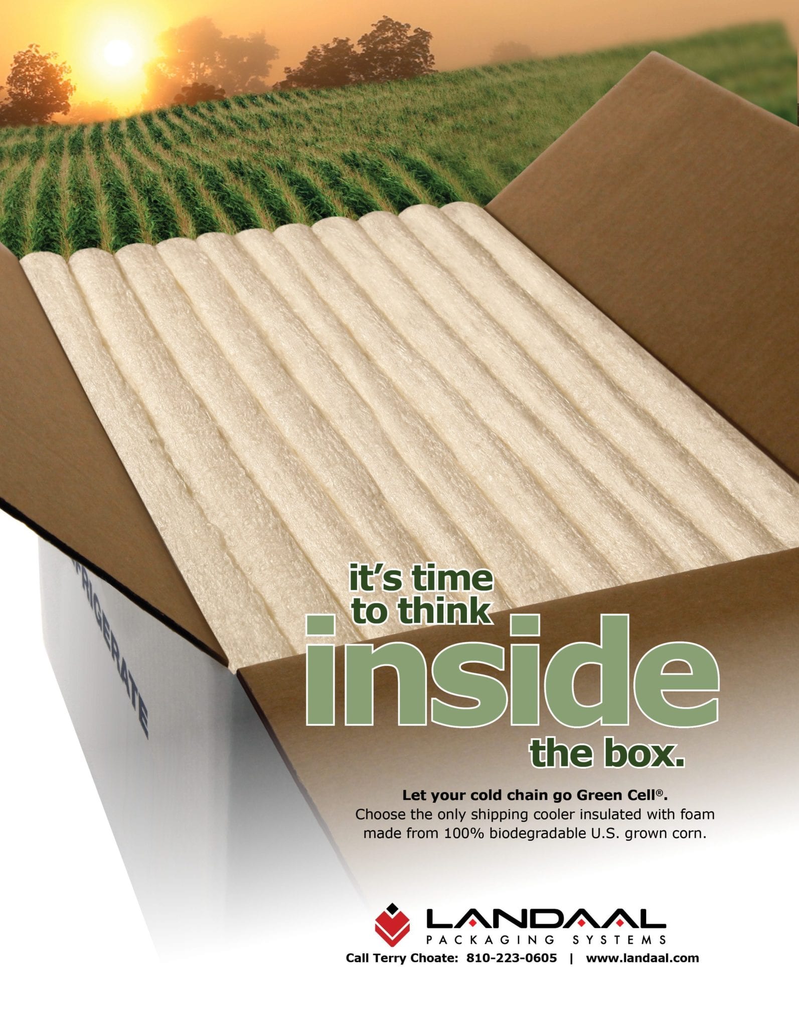 Sustainable Packaging, Green Packaging